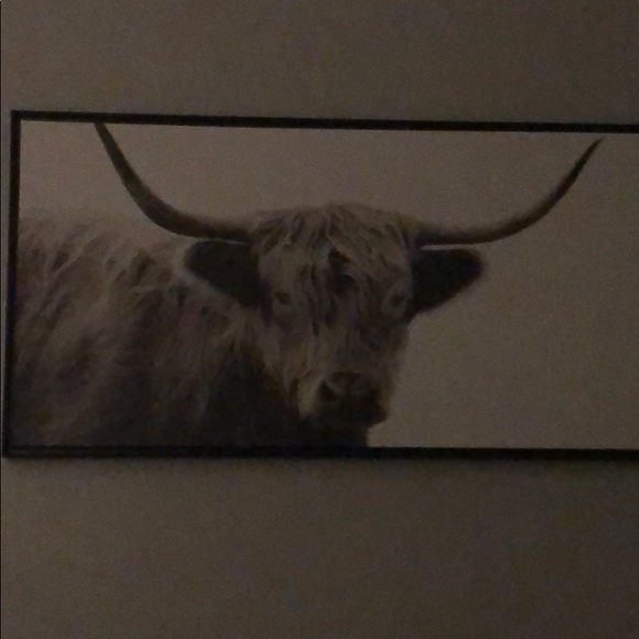 Meet your Posher, David - Picture 1 of 1